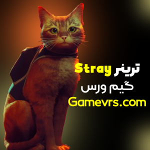 ترینر Stray