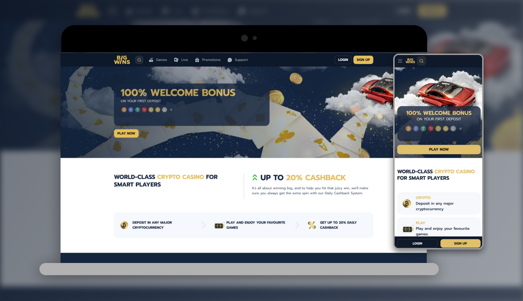 Big Wins Online Casino Evaluation: Software Application